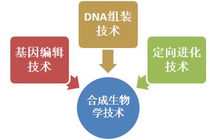合成生物学领域的前沿技术及中国国际地位现状