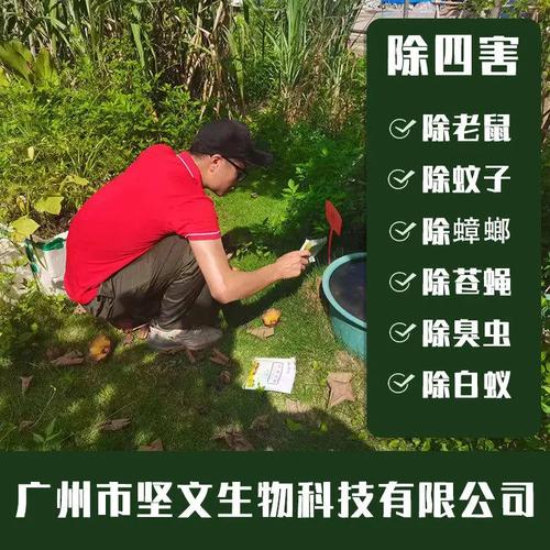荔湾医院灭鼠防治公司:工厂杀虫灭鼠方案,保障生产环