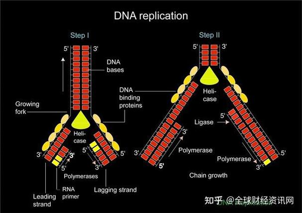 合成生物学产业进入兑现期:从实验室走向工厂,生物制造开启产业新变革